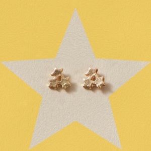 NWT 🔥 Star ⭐️ Stud Earrings